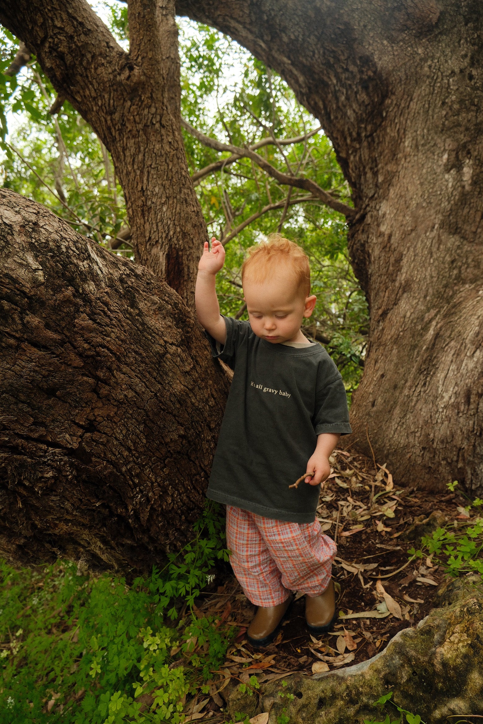 Child standing in a forest with large trees