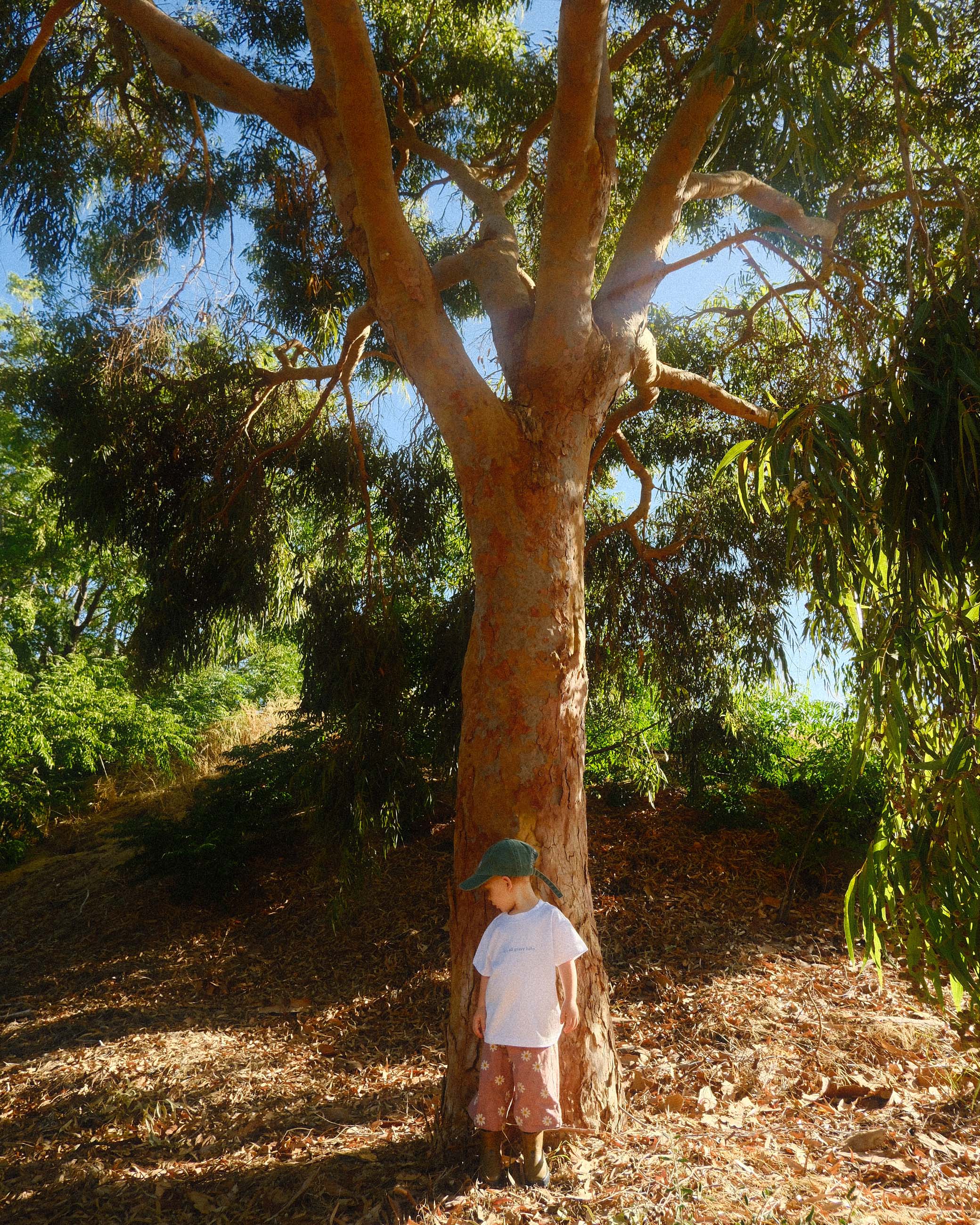 the Gravy Tee (kids) - white/blue