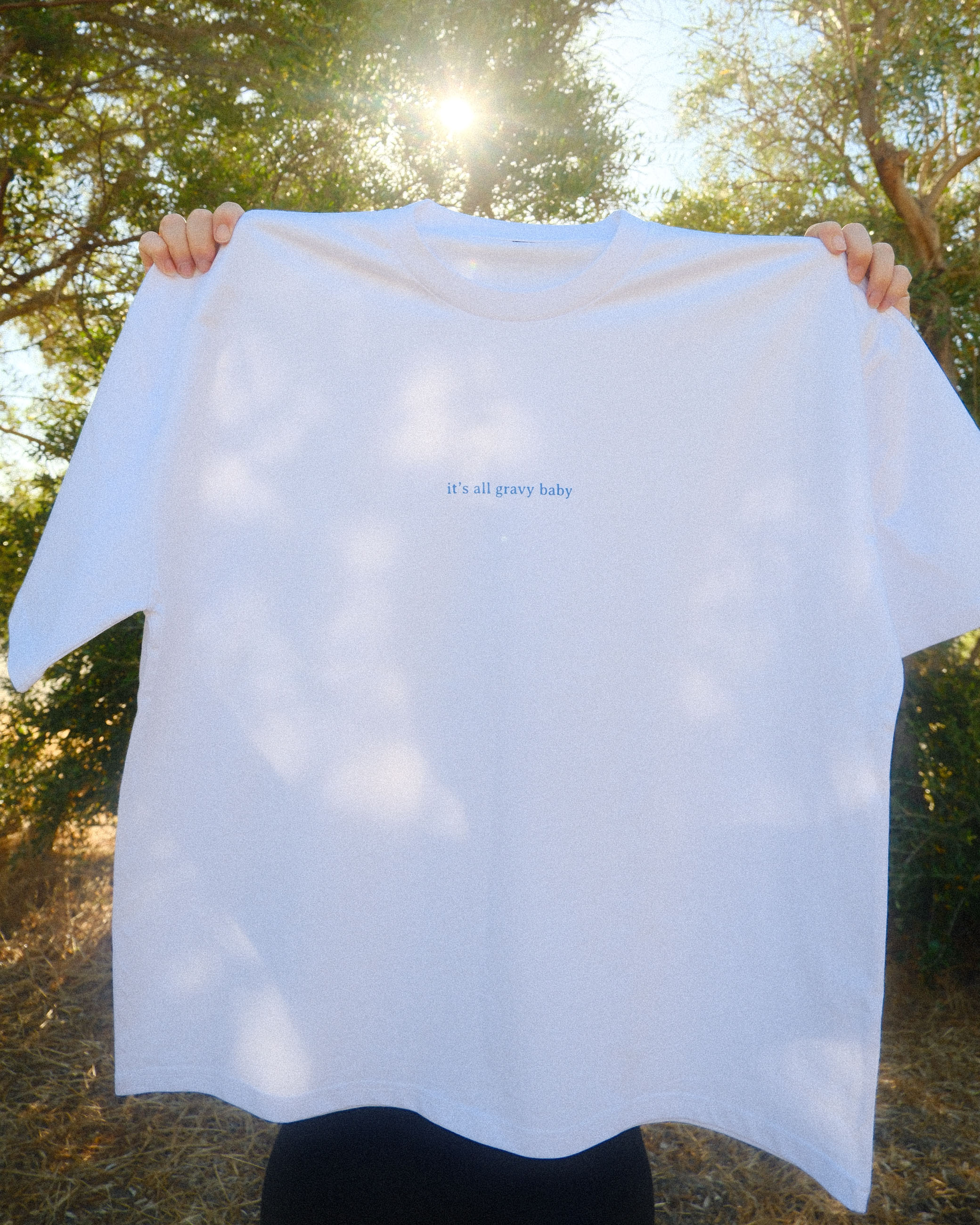 the Gravy Tee (adult) - white/blue